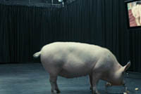 Новости и статьи о сериале Черное зеркало